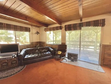 This Yosemite area home in the pines called 'Lil Oak Hill' is - photo 28