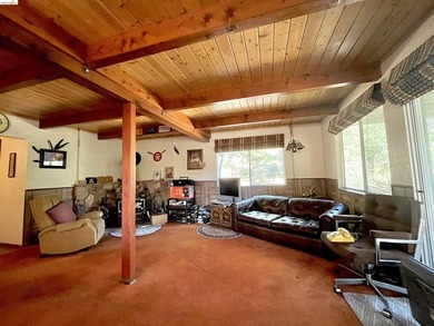 This Yosemite area home in the pines called 'Lil Oak Hill' is - photo 29