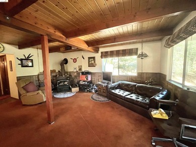 This Yosemite area home in the pines called 'Lil Oak Hill' is - photo 30