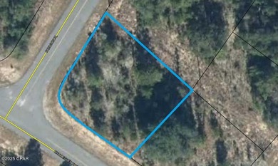 Boat Lake Lot For Sale in Chipley Florida