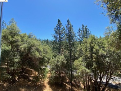 This Yosemite area home in the pines called 'Lil Oak Hill' is - photo 38