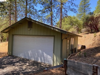 This Yosemite area home in the pines called 'Lil Oak Hill' is - photo 39