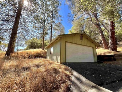 This Yosemite area home in the pines called 'Lil Oak Hill' is - photo 40