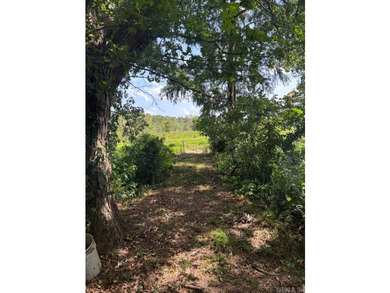 Rare Waterfront Opportunity: Ready-to-Build Parcels on Lake - photo 12