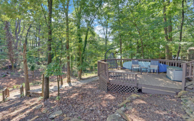 Charming Tiny Home on Lake Hartwell - - photo 22