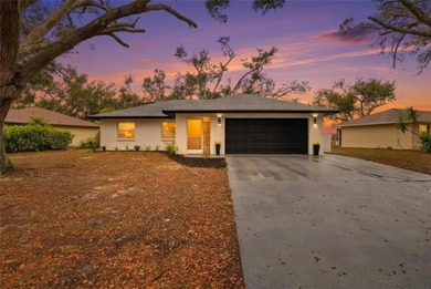 (private lake, pond, coastal) Home Sale Pending in Venice Florida