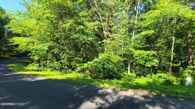 Lake Lot For Sale in Loudon, Tennessee