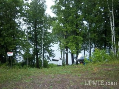 Lake Acreage For Sale in Bessemer, Michigan