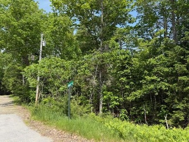 Private wooded 1.24 acre lot in established subdivision. Only 10 - photo 2