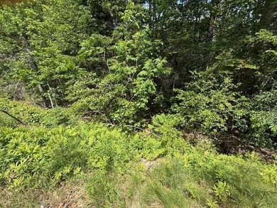 Private wooded 1.24 acre lot in established subdivision. Only 10 - photo 3
