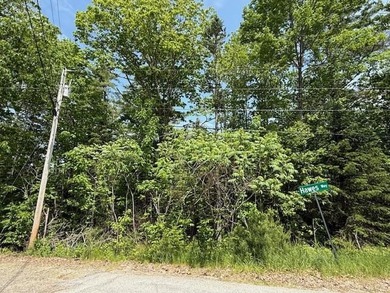Private wooded 1.24 acre lot in established subdivision. Only 10 - photo 8