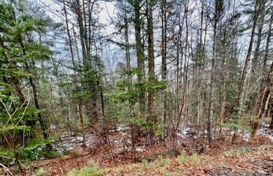 Private wooded 1.24 acre lot in established subdivision. Only 10 - photo 10