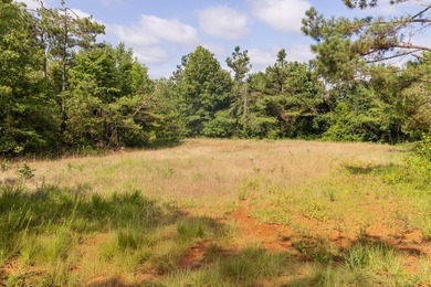 Turnkey 257.8 acre recreational tract in Tippah County - photo 12