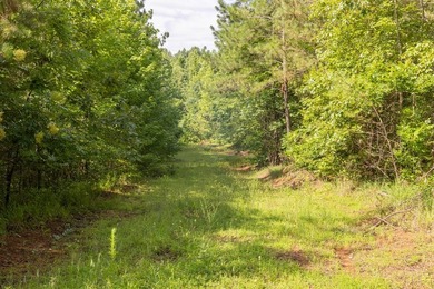 Turnkey 257.8 acre recreational tract in Tippah County - photo 13