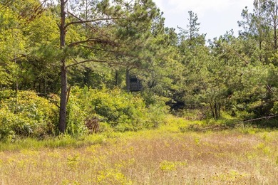 Turnkey 257.8 acre recreational tract in Tippah County - photo 17