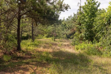 Turnkey 257.8 acre recreational tract in Tippah County - photo 18