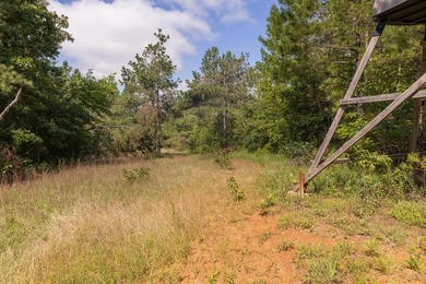 Turnkey 257.8 acre recreational tract in Tippah County - photo 19