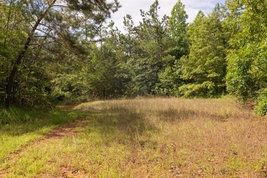 Turnkey 257.8 acre recreational tract in Tippah County - photo 23