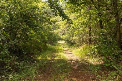 Turnkey 257.8 acre recreational tract in Tippah County - photo 24
