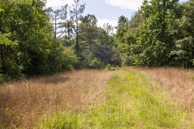Turnkey 257.8 acre recreational tract in Tippah County - photo 26