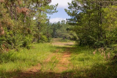 Turnkey 257.8 acre recreational tract in Tippah County - photo 28