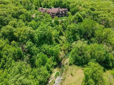 The largest home in Polk County is for sale. This 17 room French - photo 29