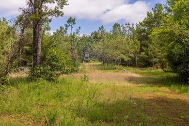 Turnkey 257.8 acre recreational tract in Tippah County - photo 29