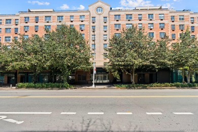 Hudson River Condo For Sale in New York (Manhattan) New York