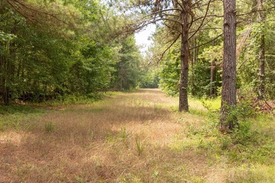 Turnkey 257.8 acre recreational tract in Tippah County - photo 31