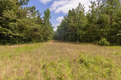 Turnkey 257.8 acre recreational tract in Tippah County - photo 32
