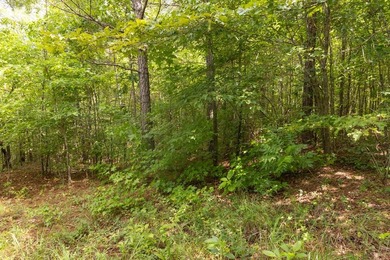 Turnkey 257.8 acre recreational tract in Tippah County - photo 33