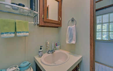Charming Tiny Home on Lake Hartwell - - photo 19