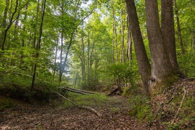 Turnkey 257.8 acre recreational tract in Tippah County - photo 36
