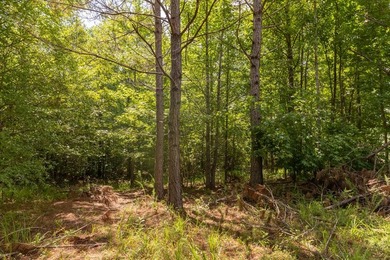 Turnkey 257.8 acre recreational tract in Tippah County - photo 39