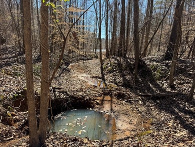 Turnkey 257.8 acre recreational tract in Tippah County - photo 44