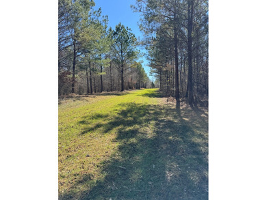 Turnkey 257.8 acre recreational tract in Tippah County - photo 45