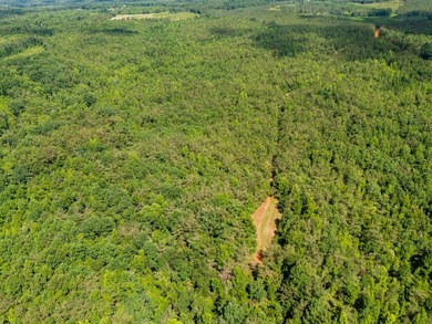 Turnkey 257.8 acre recreational tract in Tippah County - photo 47