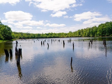 Turnkey 257.8 acre recreational tract in Tippah County - photo 50