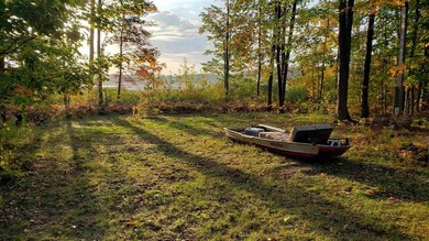 Escape to your own private retreat with this artistic cabin set - photo 1