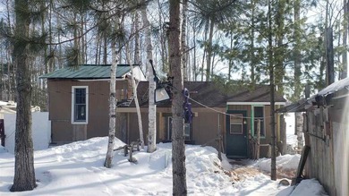 Escape to your own private retreat with this artistic cabin set - photo 2