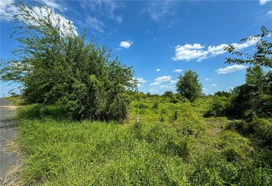 Build Your Dream Home Near Choke Canyon State Park! Discover an - photo 8