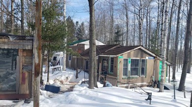 Escape to your own private retreat with this artistic cabin set - photo 10
