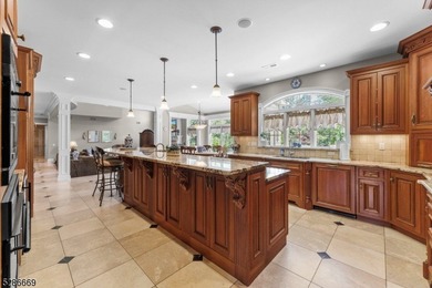 Magnificent 6000sf+- French Provincial Estate Custom Home w - photo 24