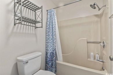 This freshly painted furnished 2-bedroom, 2-bathroom condo with - photo 35
