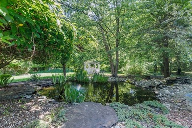 Magnificent 6000sf+- French Provincial Estate Custom Home w - photo 46
