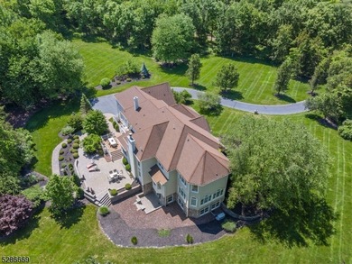 Magnificent 6000sf+- French Provincial Estate Custom Home w - photo 50