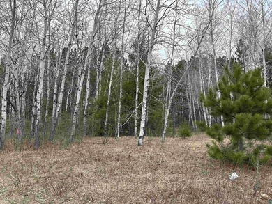 Lot 3 of 4 on North shore Dr, in Iron River WI. Build your dream - photo 11