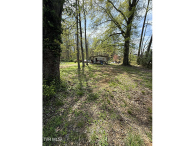 Holston River - Hawkins County Acreage For Sale in Mount Carmel Tennessee