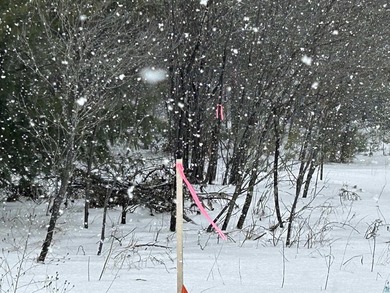 Lot 3 of 4 on North shore Dr, in Iron River WI. Build your dream - photo 17