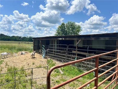 Incredible 224-acre estate w/over half a mile (~3500ft) of White - photo 45